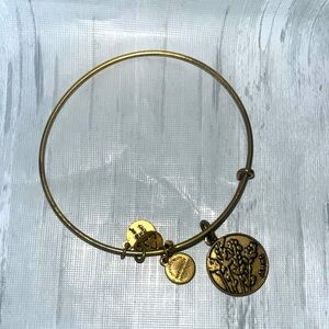 Alex & Ani bracelet